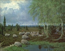 Kuenstlerkarte Bernhard de Bruycker Heidschnucken Lüne