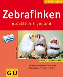 Zebrafinken glücklich gesund - zebrafinken,