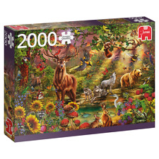 JUMBO 18868 Ciro Marchetti Magischer Wald bei Sonnenuntergang 2000 Teile Puzzle