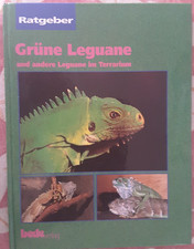 Shelly K. Ferrel -- Grüne Leguane und andere Leguane im Terrarium