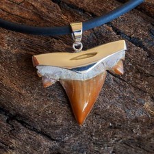 Haizahn fossil 925er silber - haizahn,