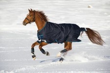 Horseware Amigo Bravo 12