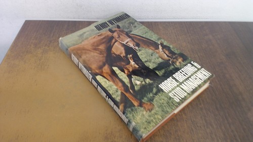 Horse breeding and stud - horse,