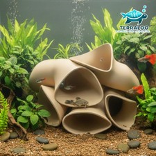 Pleco Hotel 3D Druck Aquarium