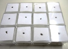 +++ 1 Stück: Painit Fragment