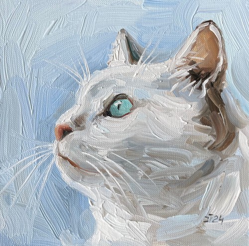 Weiße katze original - weiße,