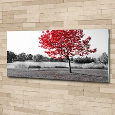 Glas-Bild Wandbilder Druck auf