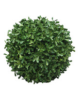 Künstlicher Box Princeville