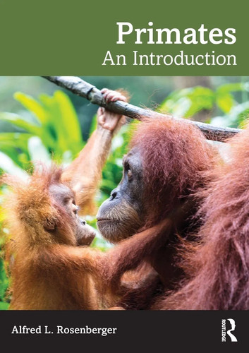 Primates introduction - primates, an