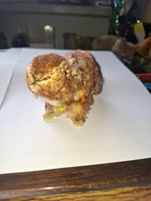 Steiff Tier Original - Murmeltier