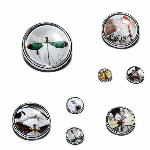 Auswahl libelle button - libelle,