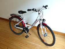 Kinderfahrrad Pegasus