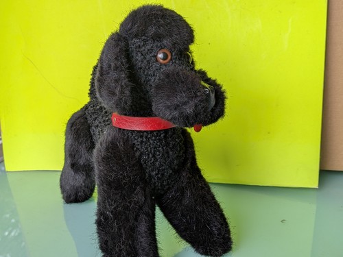 Steiff pudel mit knopf fahne - pudel, knopf,