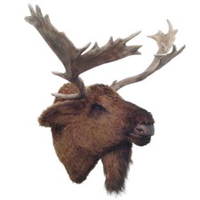 Neu Elchkopf Elch Kamin