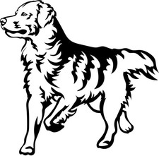 GOLDEN RETRIEVER Aufkleber - Golden Retriever Autoaufkleber - Kontur #87