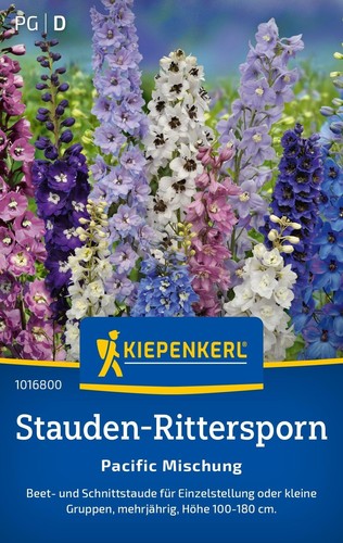 Stauden rittersporn - , "