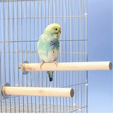 4 Sitzstangen für Vögel