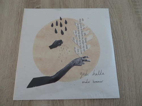Yndi halda vinyl - vinyl, sammlung