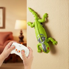 RC Gecko Roboter Spielzeug -