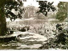 Wörlitzer Park - Blick von der Roseninsel. Alte AK s/w. gel., Parkanlage mit Bic