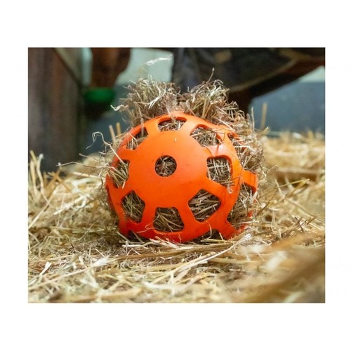 Hay slow feeder fun - hay,