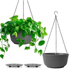 Blumenampel, Hängende