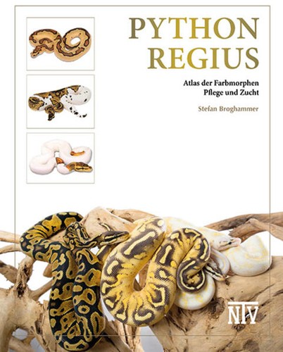 Python regius stefan - python,