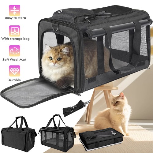 Kleine katzenbox transportbox - kleine, katzenbox,transportbox