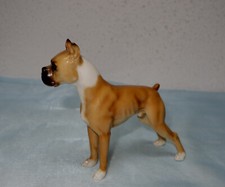 HUTSCHENREUTHER  Boxer