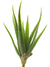 Künstliche Aloe Vera 41cm