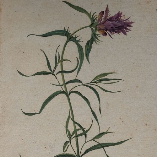 Johann nepomuk mayrhofer - johann,