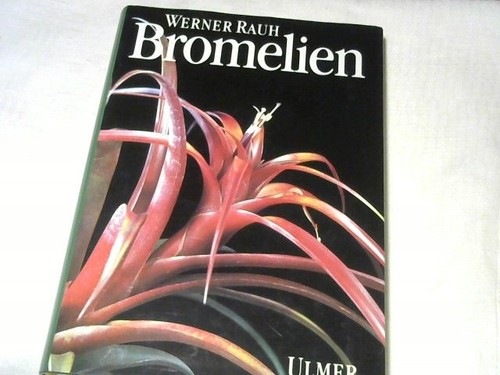Bromelien tillandsien und - :,