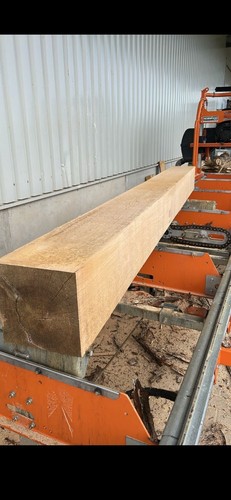 Eichenbalken 300x20x20 - , cm