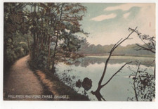 Three Bridges Mill Path & Pond