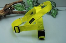 Bullyzei Norwegergeschirr Neon