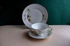 Rosenthal Winifred Kaffeegedeck 3 teilig Elfenbein mit Goldrand und Blüten