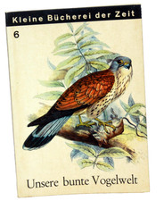 UNSERE BUNTE VOGELWELT -