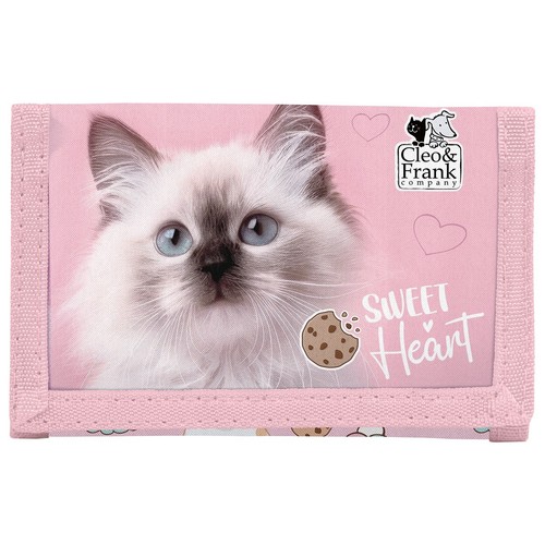 Süße katze kätzchen - süße,