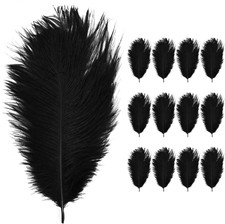 12 Stück Straußenfedern 8-10 Zoll Natürliche Straußenfedern Strauß Feder zum Bas