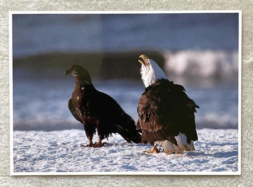 Postkarte amerikanischer - postkarte,