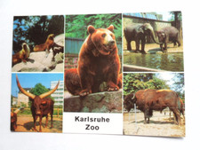AK Karlsruhe Zoo Seelöwe