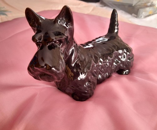 Scottie scottish terrier - scottie,