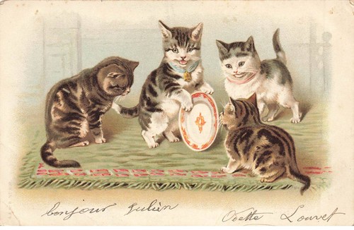 Katzen mk948 mit - katzen,