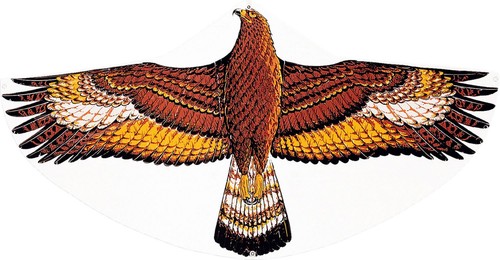 Drachen steinadler 122x68cm - steinadler,,