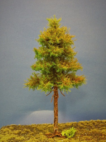 Diorama modell nadelbäume - diorama, 1