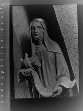 30020627 - 6250 Limburg