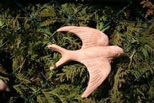 terracotta Wandbild terrakotta