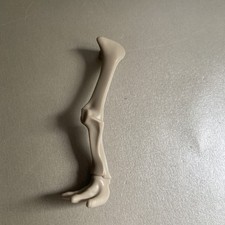 Playmobil 5101 Steinzeit