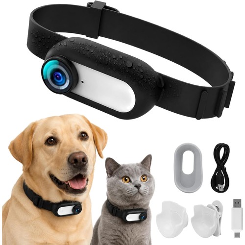 Haustierkamera halsband katzen - halsband,