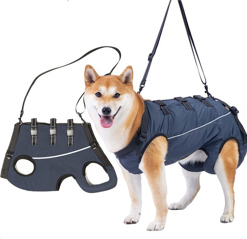Hunde tragehilfe - hunde,